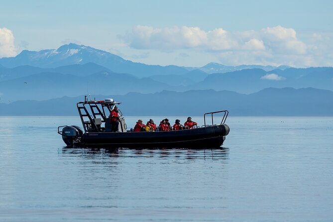 Sea Otter and Whale Watching Tour on Northern Vancouver Island - Lunch, hot drinks, and the value of the price