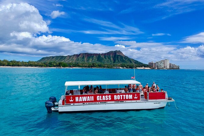 Sea Safari, Dolphins, Turtles and Waikiki Cruise - A low-key hour beside Waikiki