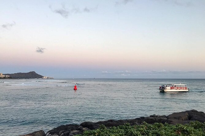 Sea Safari, Dolphins, Turtles and Waikiki Cruise - Who gets the best value at $46