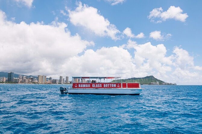 Sea Safari, Dolphins, Turtles and Waikiki Cruise - Timing, comfort, and practical details