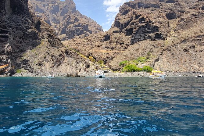 SEA SAFARI Dolphins, Whales, 3h speedboat DISCOVERY-TOUR - Seeing Tenerife from the water