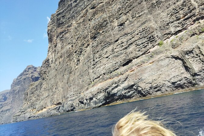 SEA SAFARI Dolphins, Whales, 3h speedboat DISCOVERY-TOUR - Swimming, snorkeling, and the BladeFish