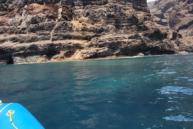 SEA SAFARI Dolphins, Whales, 3h speedboat DISCOVERY-TOUR - How this compares with a large whale-watching cruise