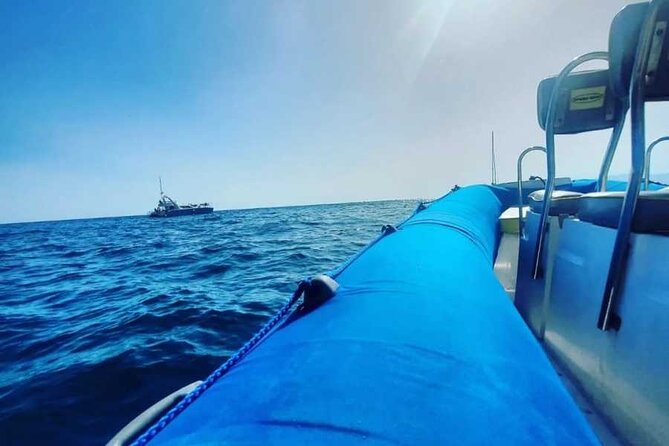 SEA SAFARI, Dolphins, Whales, snorkeling, snack and drink, 2 h speedboat - Setting out from Costa Adeje on a small boat