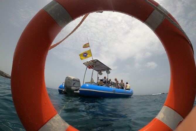 SEA SAFARI, Dolphins, Whales, snorkeling, snack and drink, 2 h speedboat - Weather, cancellations, and practical timing