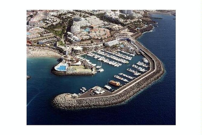 SEA SAFARI Dolphins,Whales, snorkeling, snack, drink, 3h private - Watching dolphins and pilot whales responsibly