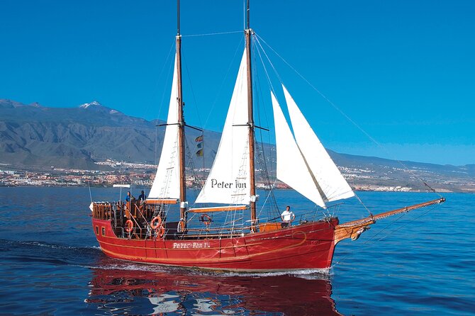 Sealife Dolphin & Whale Watching aboard Portuguese schooner - What the open deck adds to the experience