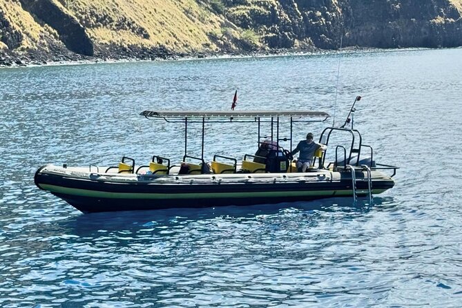 Seasonal Small-Group Humpback Whale Watching in Kona - What the two-and-a-half-hour whale search feels like