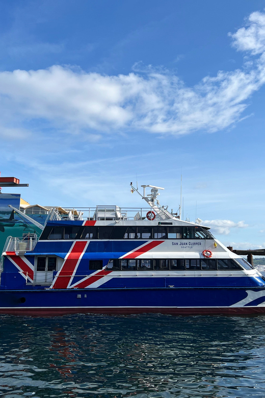 Seattle: Half-Day Wildlife and Whale Watching Cruise - Searching for orcas and other whales