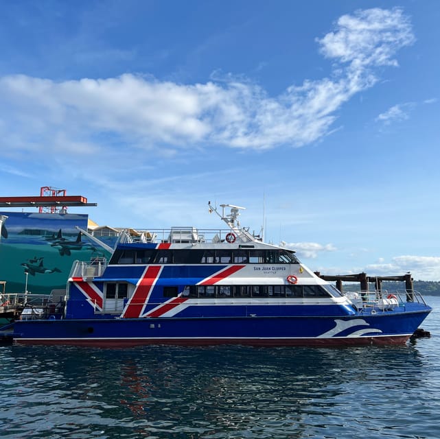 Seattle: Half-Day Wildlife and Whale Watching Cruise - The naturalist makes the trip more than a boat ride