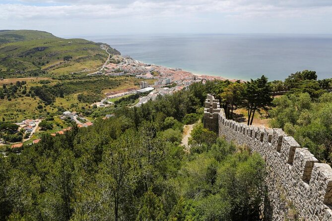 Sesimbra: Arrábida Dolphin and Whale Watching tour with biologist - Key points at a glance