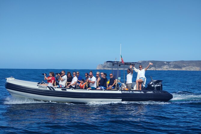 Sesimbra: Arrábida Dolphin and Whale Watching tour with biologist - Why the wildlife approach matters