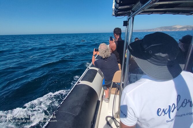 Sesimbra: Arrábida Dolphin and Whale Watching tour with biologist - Comfort, safety, and the open-boat tradeoff