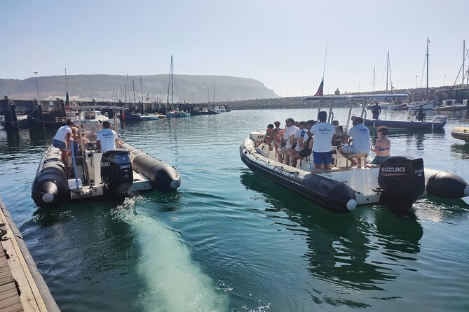 Sesimbra: Arrábida Dolphin and Whale Watching tour with biologist - Is $66.42 a fair price?