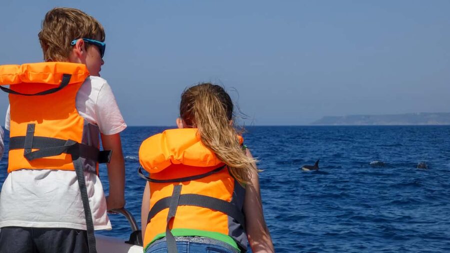 Sesimbra: Arrábida Dolphin and Whale Watching with Biologist - Why the marine biologist guide matters