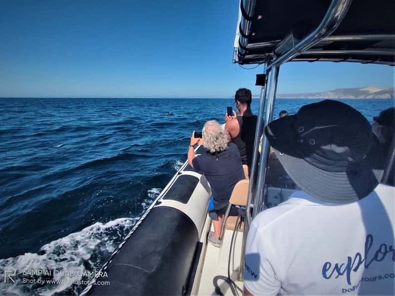 Sesimbra: Dolphin and Whales Watching with Biologist Guide - Starting at Sesimbra harbor
