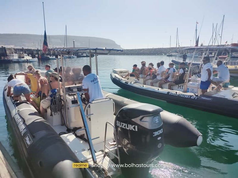 Sesimbra: Dolphin and Whales Watching with Biologist Guide - Whales, orcas, and seasonal chances