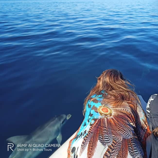 Sesimbra: Dolphin and Whales Watching with Biologist Guide - Arrábida’s protected coast by boat