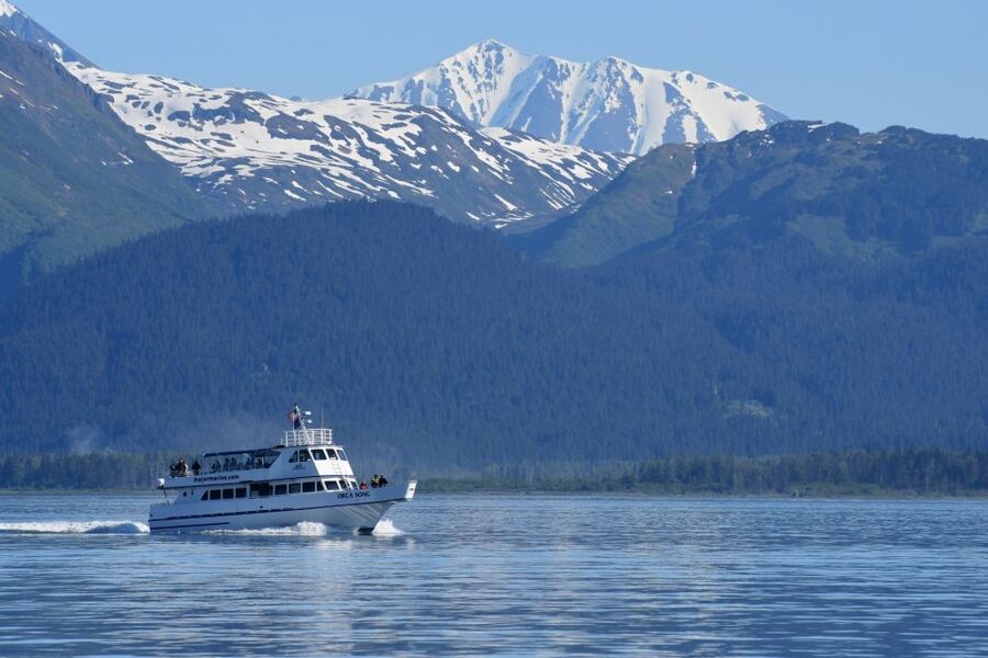 Seward: Resurrection Bay Orca Quest Cruise - When to book, and where to meet