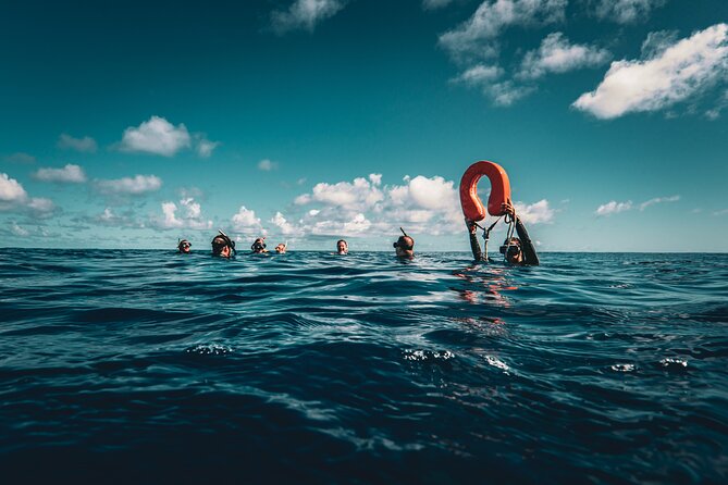 Shared Whale Expedition - Who should book, and who should choose another outing