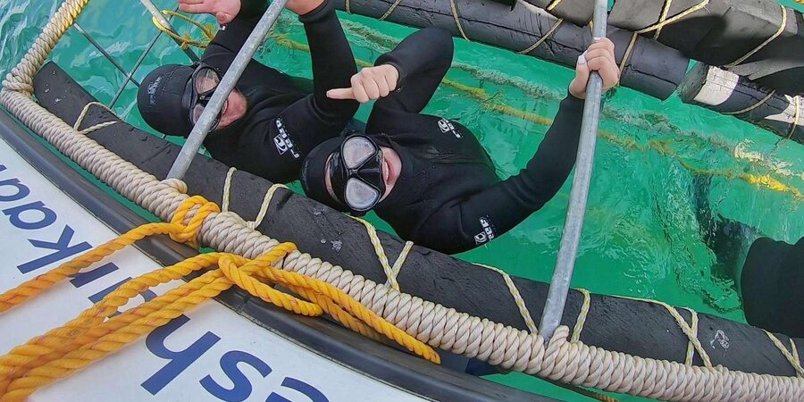 Shark & Whale Trip Combo - What the guides add to the experience