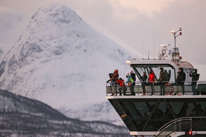 Silent Whale Watching by Hybrid-Electric Boat from Tromsø - Sightings are possible, not promised