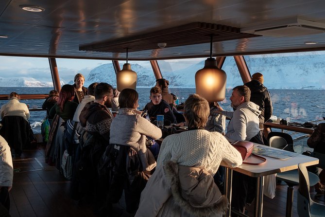Silent Whale Watching by Hybrid-Electric Boat from Tromsø - Food, Wi-Fi, and comfort onboard