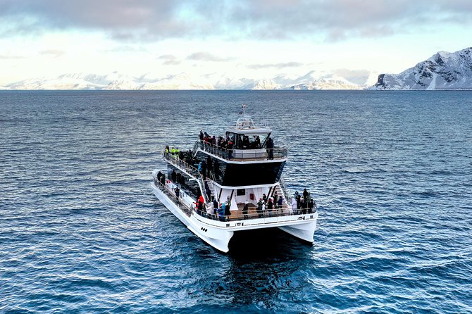 Silent Whale Watching by Hybrid-Electric Boat from Tromsø - The whale search near Kvænangen