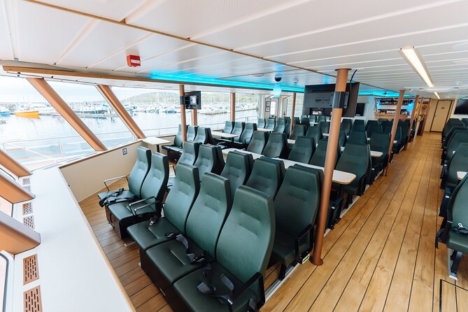Silent Whale Watching on Hybrid-Electric Boat with Scenic Bustrip - The Skjervøy transfer and return by bus