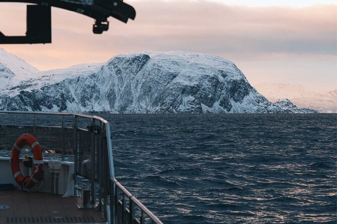 Silent Whale Watching on Hybrid-Electric Boat with Scenic Bustrip - Practical booking advice for Tromsø