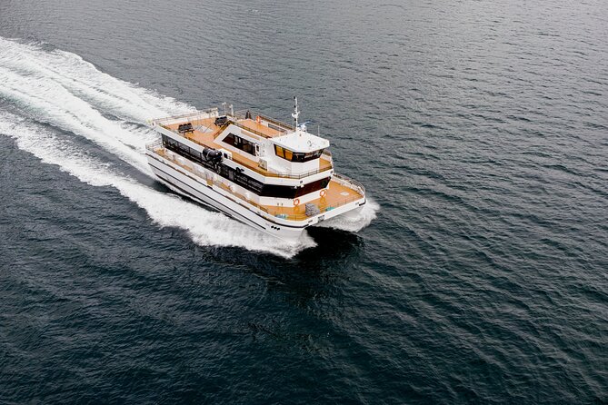 Silent Whale Watching on Hybrid-Electric Boat with Scenic Bustrip - Searching for whales in Kvænangen