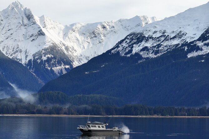 Sitka Premier Whale Watching and Wildlife Tour - Who will get the most from this tour