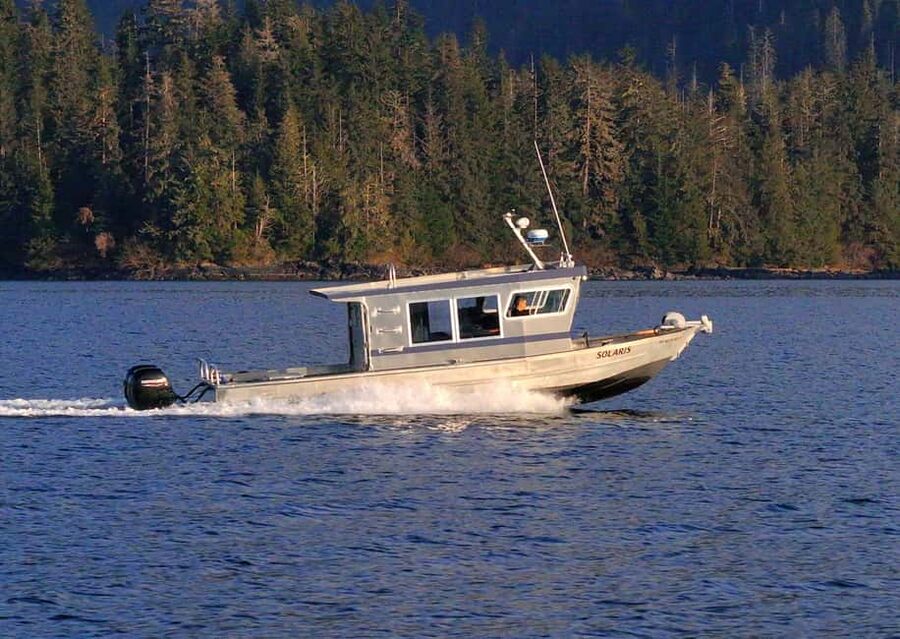 Sitka: Premiere Whale Watching and Wildlife Tour - Why two hours works well in Sitka