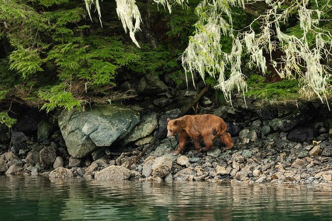 Sitka Whale Watch and Sea Otter Quest - A covered boat makes a real difference