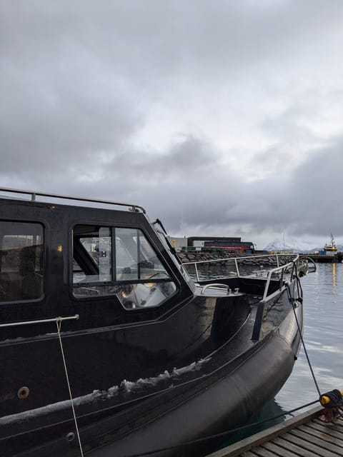 Skjervøy: Orca and Whale-Watching comfort heated Boat Trip - What happens when the engine goes quiet