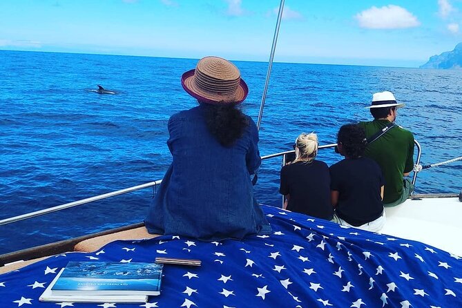 Small Group Boat Whale and Dolphin Watching Tour - Searching for whales and dolphins around La Gomera
