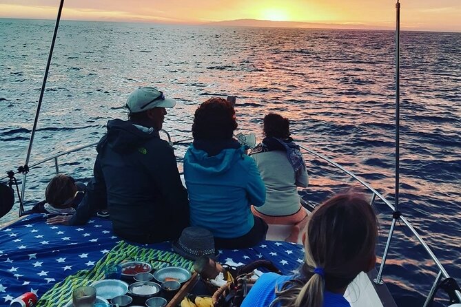 Small Group Boat Whale and Dolphin Watching Tour - The onboard picnic and the turn toward Las Salinas