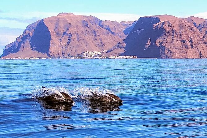 Small Group Boat Whale and Dolphin Watching Tour - Who will enjoy this trip most