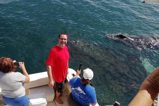 Small-Group Half-Day Whale-Watching Tour in Puerto Vallarta - Lunch after the whale search