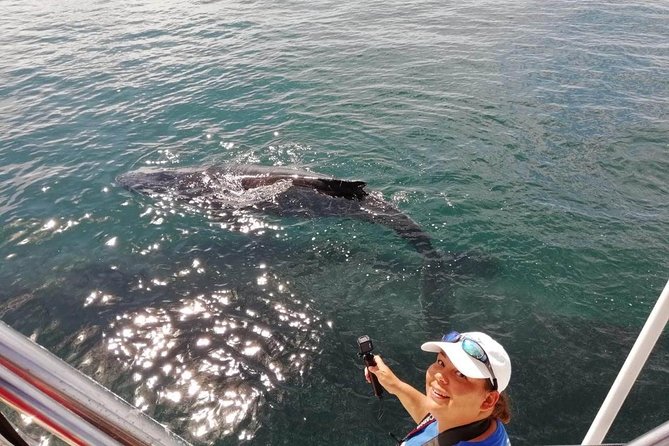Small-Group Half-Day Whale-Watching Tour in Puerto Vallarta - Who will get the most from this tour