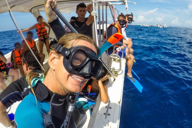 Small Group Whale Shark Encounter - 10 years in business - What happens at the whale shark site