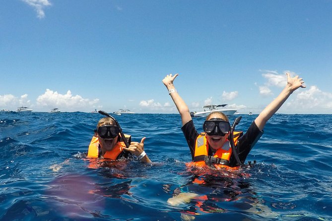 Small Group Whale Shark Encounter - 10 years in business - What the $199 price really covers