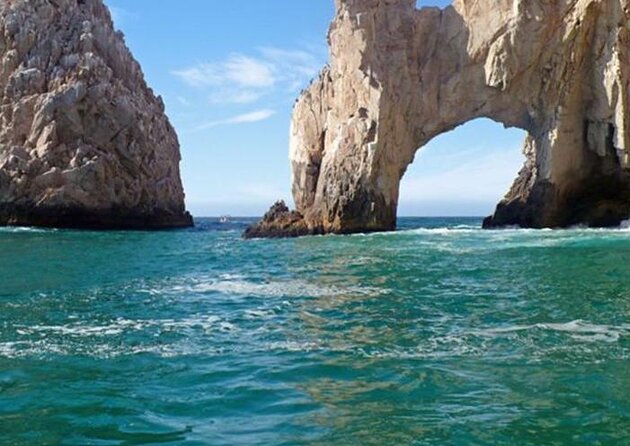 SMALL GROUP Whale Watch | Cabo San Lucas | Biologist | FREE Pics - Key points to know before you book