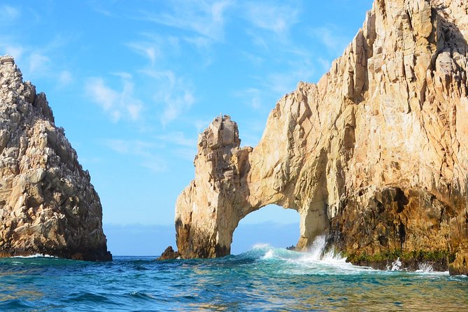 SMALL GROUP Whale Watch | Cabo San Lucas | Biologist | FREE Pics - Marine biology without a classroom feel
