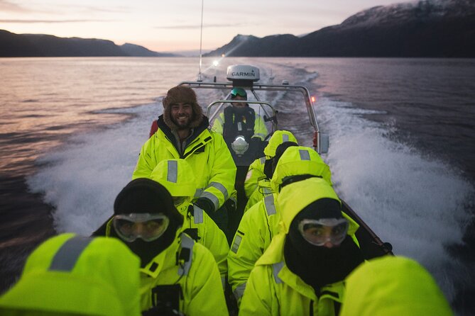 Small Group Whale Watching by RIB - What you might see around Altafjord