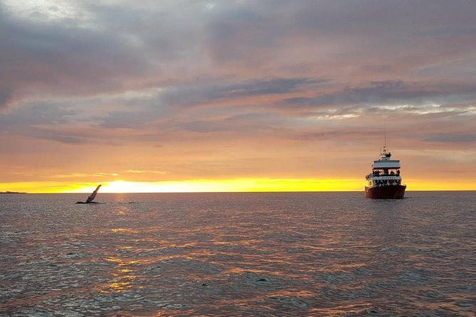 Small-group Whale Watching in the Midnight Sun from Reykjavík - A small boat and a late Icelandic sun