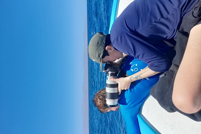 Snorkel with whale sharks includes equipment & transportation - Weather, cancellations, and timing