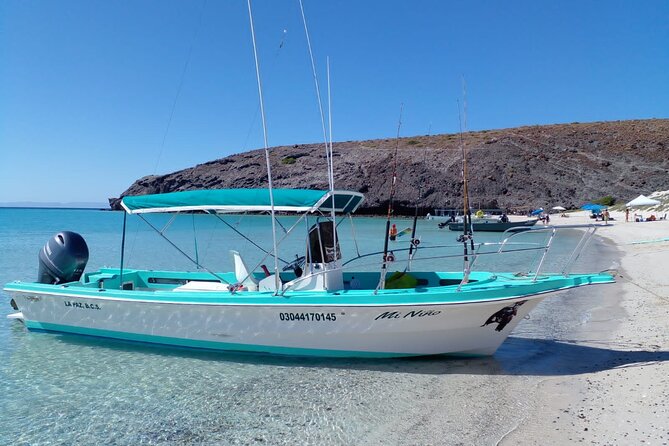 Snorkel with whale sharks includes equipment & transportation - Who will get the most from this day