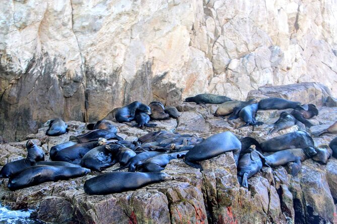 Snorkeling and whale watching Tour in Cabo - El Arco gets the main photo moment