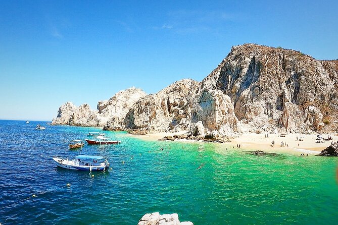 Snorkeling and whale watching Tour in Cabo - Roger and his son make the service personal